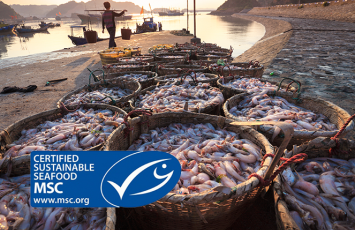 bureau veritas MSC ASC COC sea food certification
