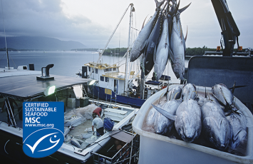 bureau veritas MSC sea food certification 